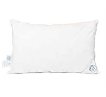 Oreillers en plume d’oie