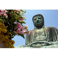 Il Buddha di Kamakura II